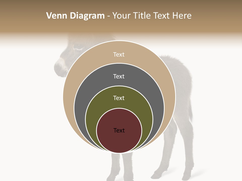 Animal Themes Adorable White Background PowerPoint Template