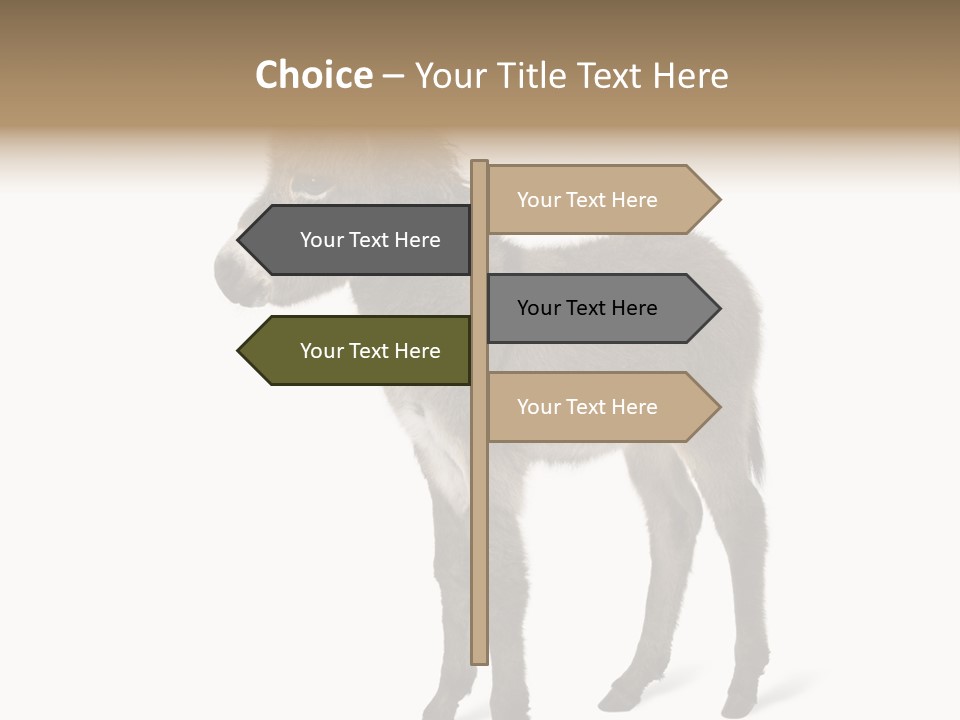 Animal Themes Adorable White Background PowerPoint Template