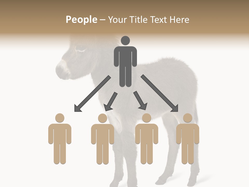 Animal Themes Adorable White Background PowerPoint Template