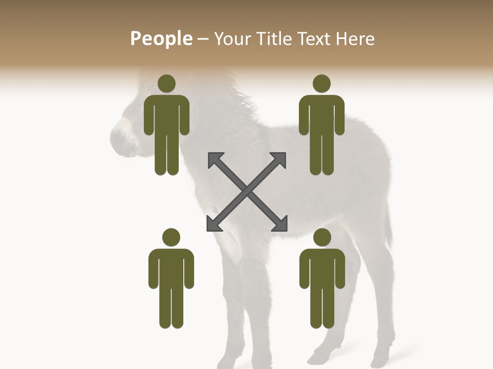 Animal Themes Adorable White Background PowerPoint Template