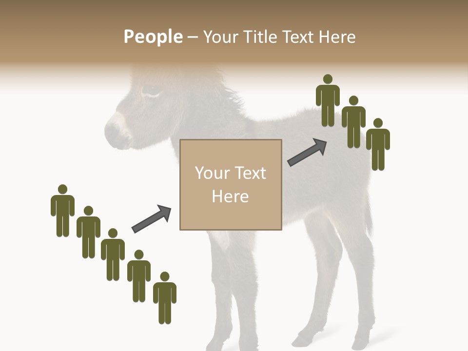 Animal Themes Adorable White Background PowerPoint Template