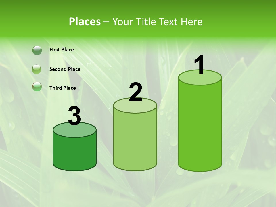 Green Gramin Palmes PowerPoint Template