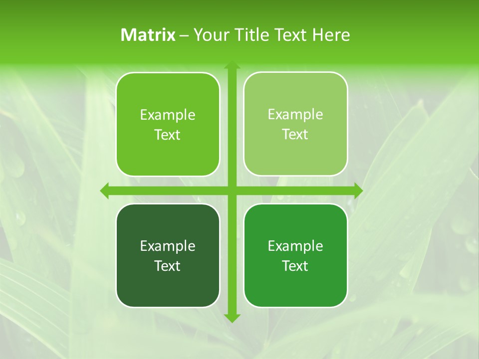 Green Gramin Palmes PowerPoint Template