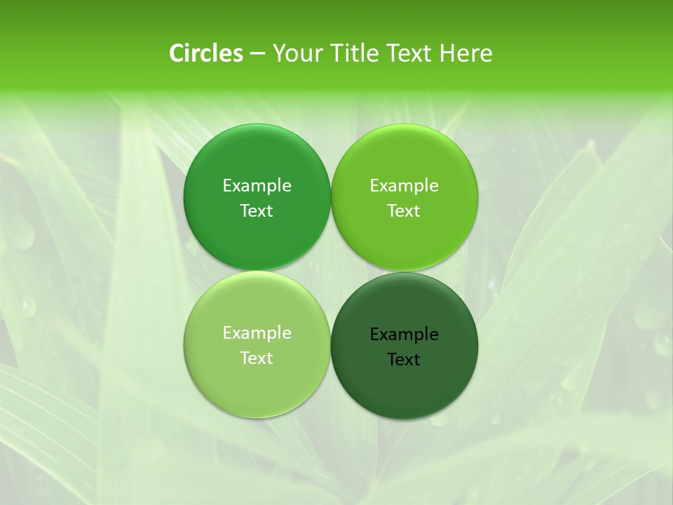 Green Gramin Palmes PowerPoint Template