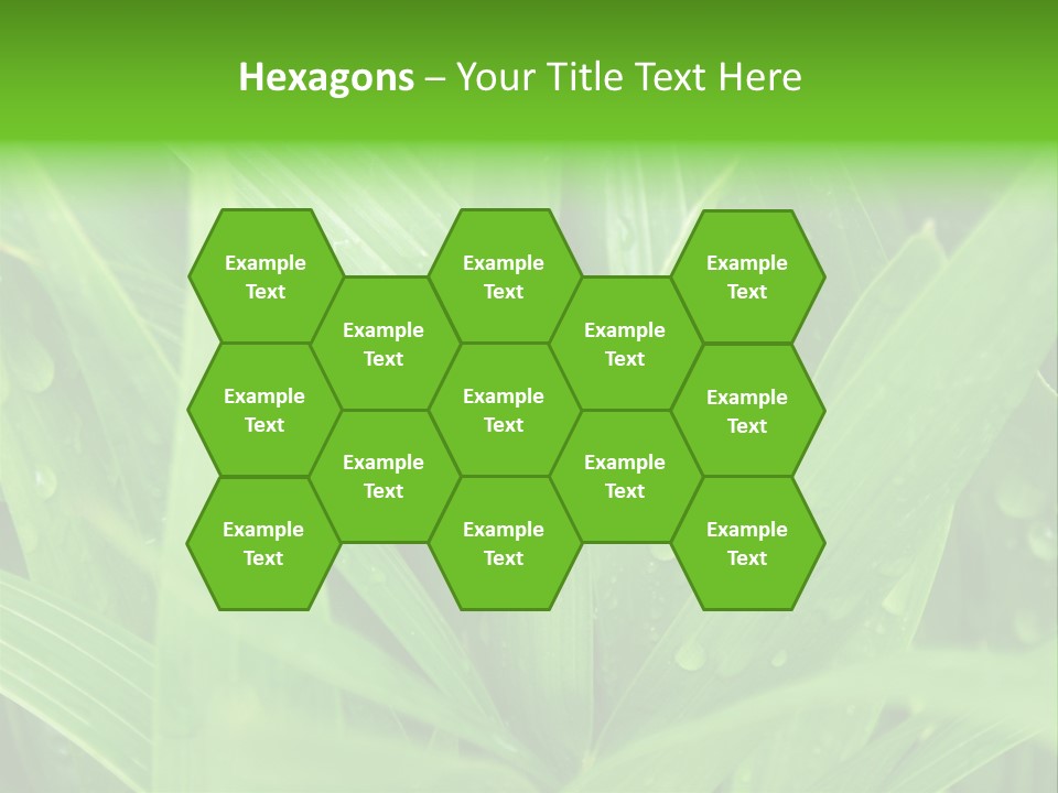 Green Gramin Palmes PowerPoint Template