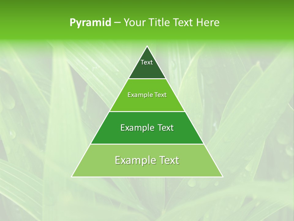 Green Gramin Palmes PowerPoint Template