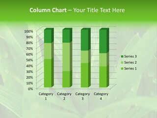 Green Gramin Palmes PowerPoint Template