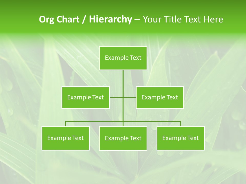 Green Gramin Palmes PowerPoint Template