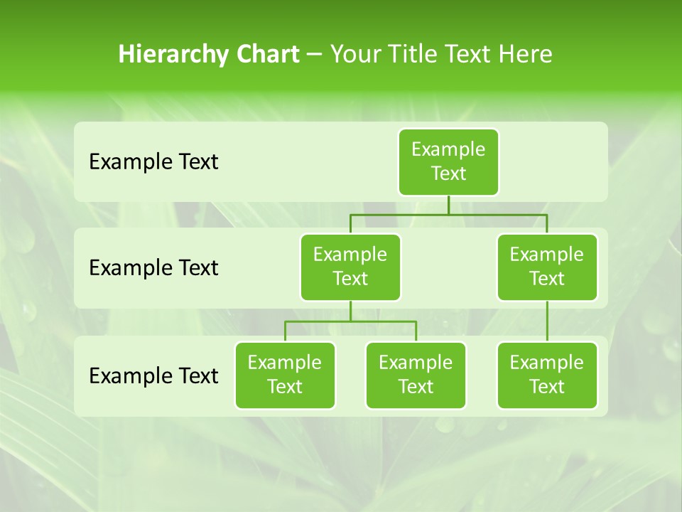 Green Gramin Palmes PowerPoint Template