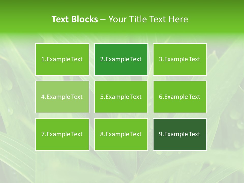 Green Gramin Palmes PowerPoint Template