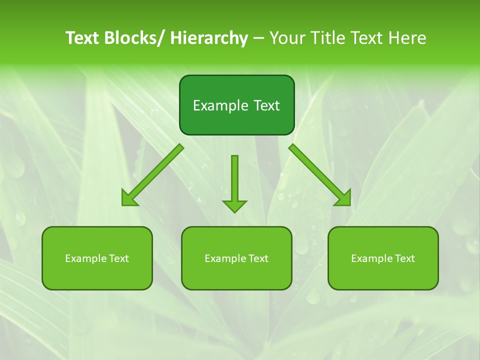 Green Gramin Palmes PowerPoint Template