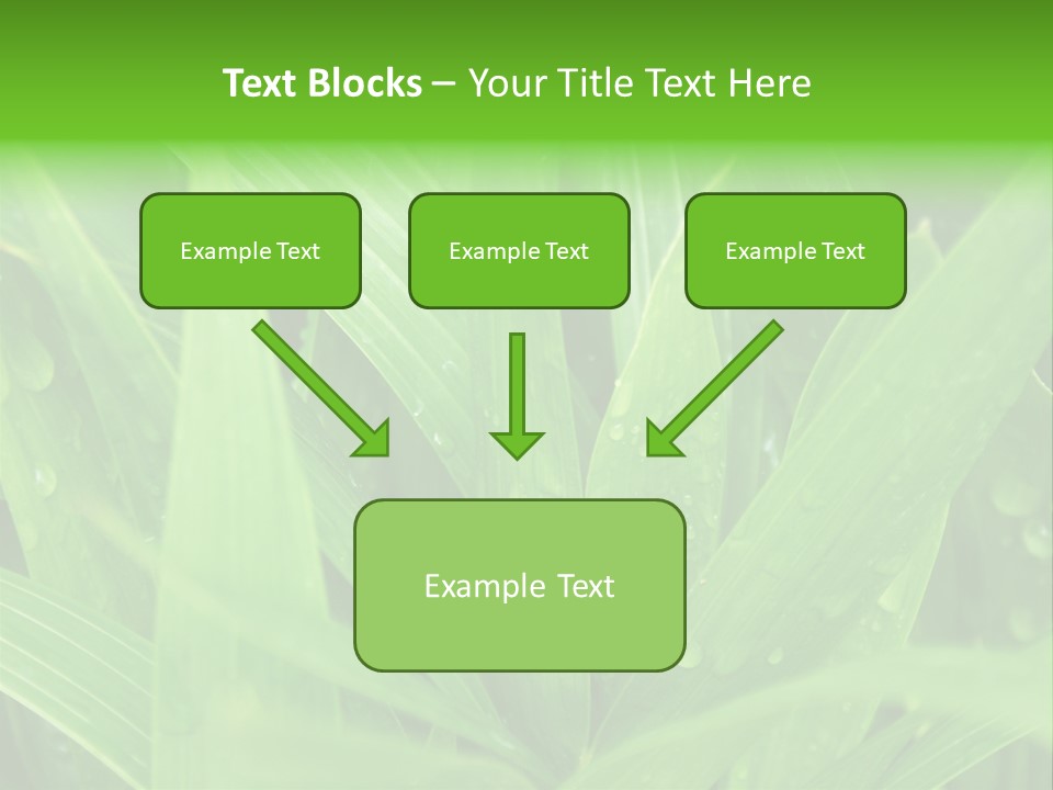 Green Gramin Palmes PowerPoint Template