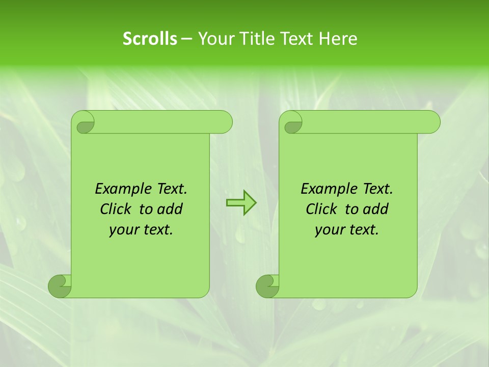 Green Gramin Palmes PowerPoint Template