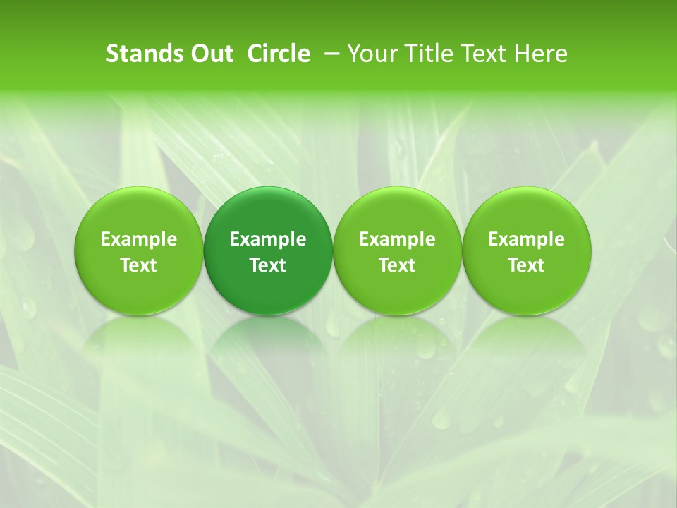 Green Gramin Palmes PowerPoint Template