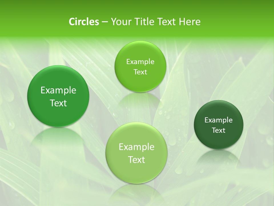 Green Gramin Palmes PowerPoint Template