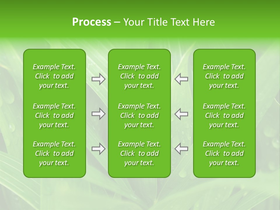 Green Gramin Palmes PowerPoint Template