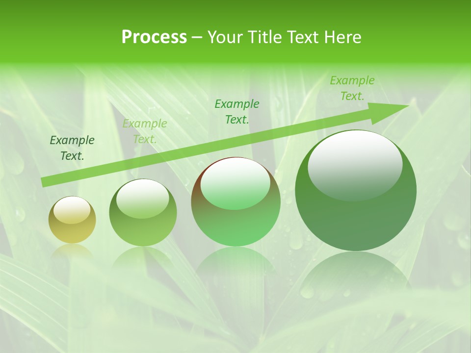 Green Gramin Palmes PowerPoint Template