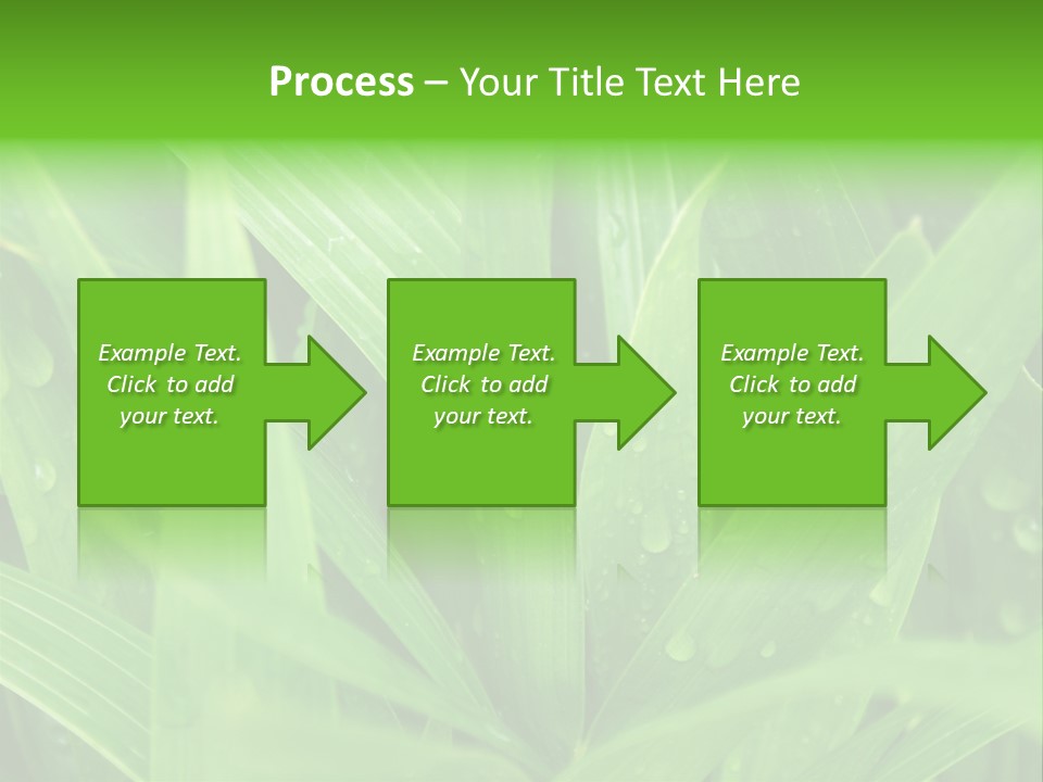 Green Gramin Palmes PowerPoint Template