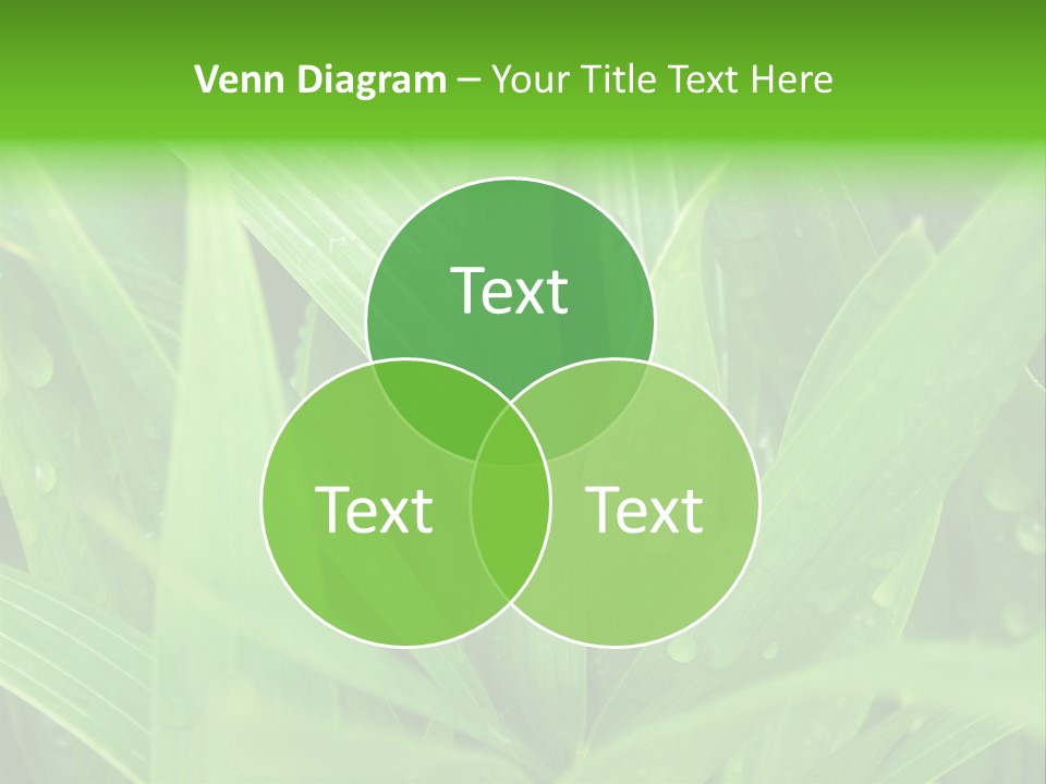 Green Gramin Palmes PowerPoint Template