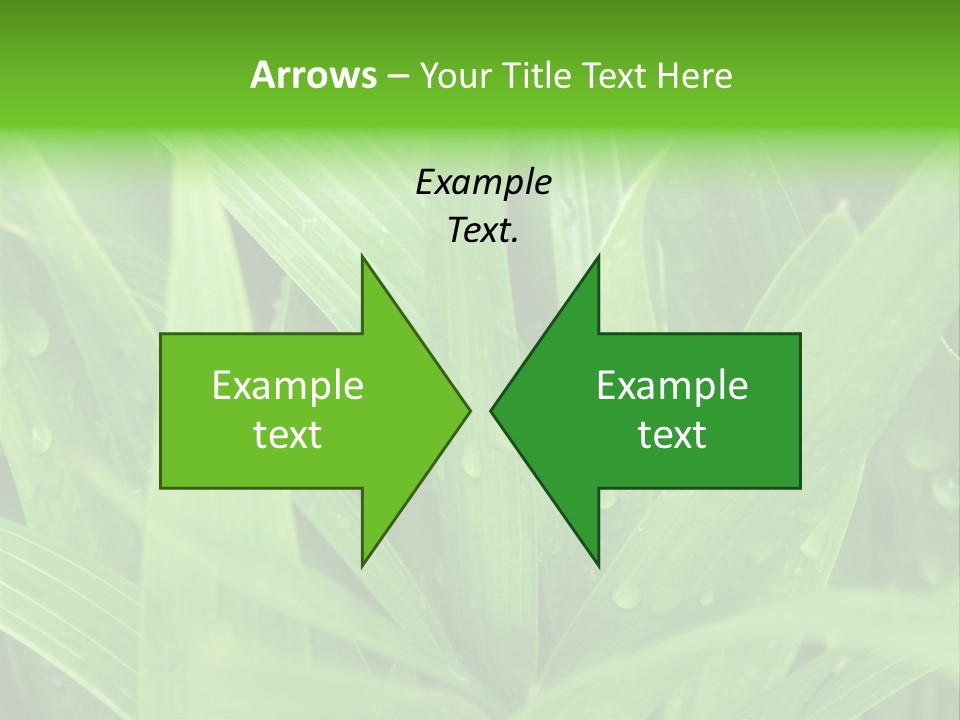 Green Gramin Palmes PowerPoint Template