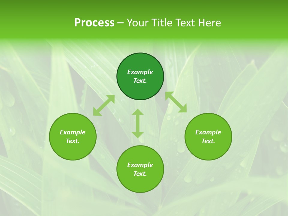 Green Gramin Palmes PowerPoint Template