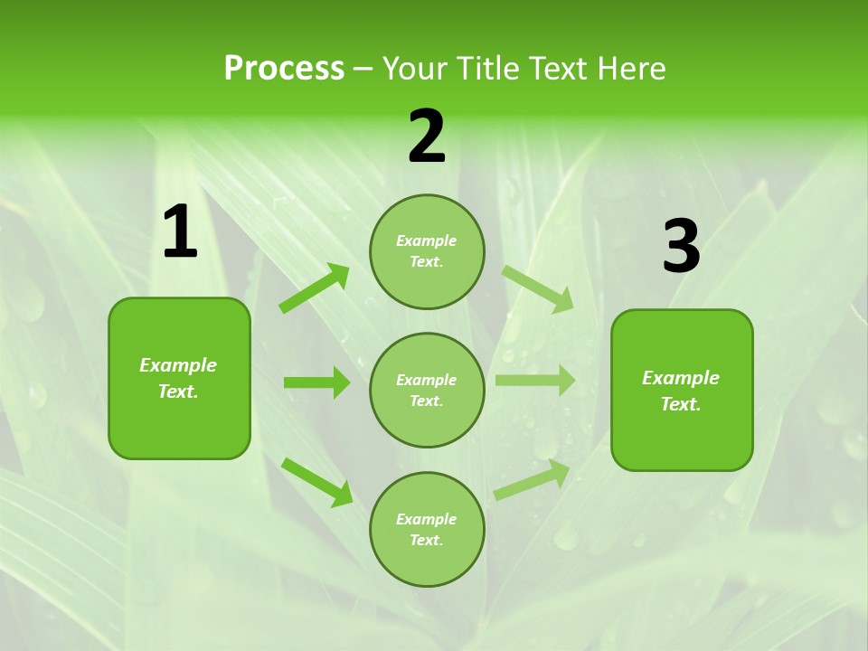 Green Gramin Palmes PowerPoint Template