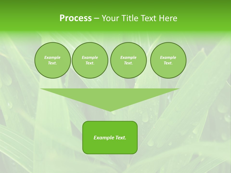 Green Gramin Palmes PowerPoint Template