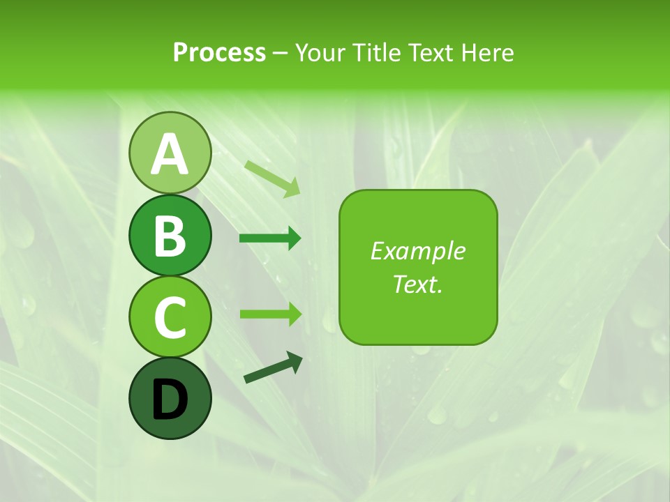 Green Gramin Palmes PowerPoint Template