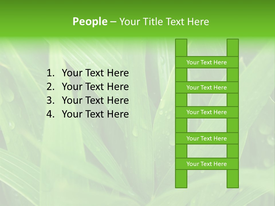 Green Gramin Palmes PowerPoint Template