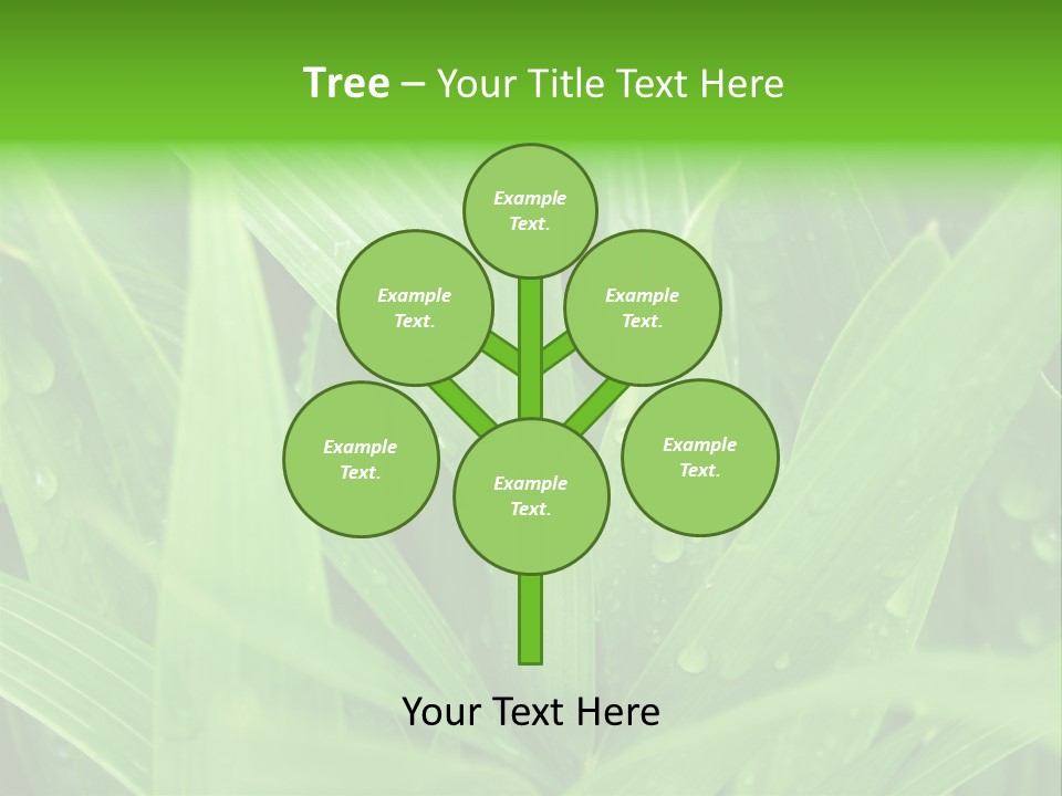 Green Gramin Palmes PowerPoint Template
