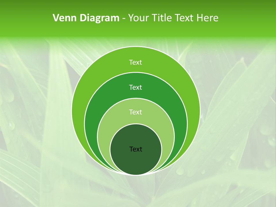 Green Gramin Palmes PowerPoint Template
