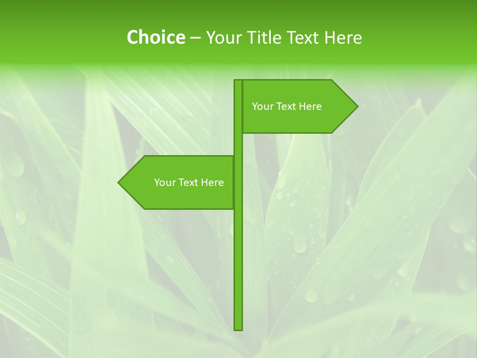 Green Gramin Palmes PowerPoint Template