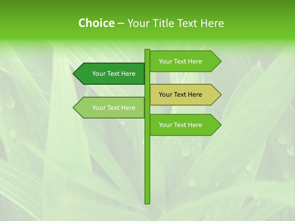 Green Gramin Palmes PowerPoint Template