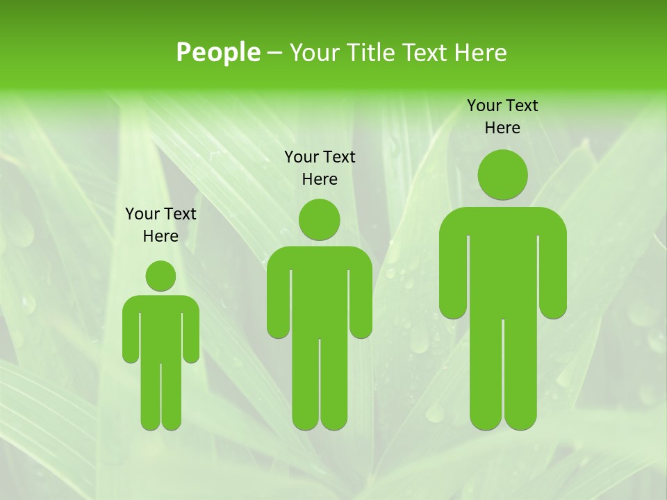 Green Gramin Palmes PowerPoint Template