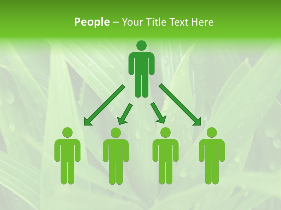 Green Gramin Palmes PowerPoint Template
