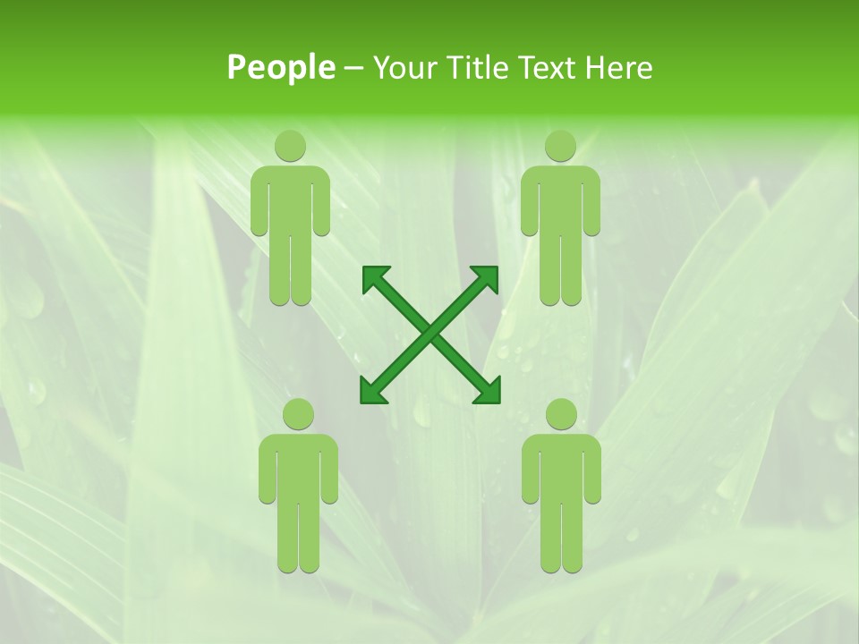 Green Gramin Palmes PowerPoint Template