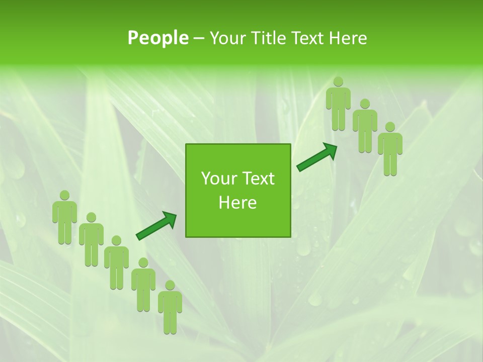 Green Gramin Palmes PowerPoint Template