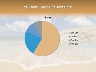 Ocean Hanging Empty PowerPoint Template