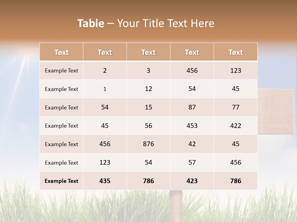 Vintage Retro Fresh PowerPoint Template