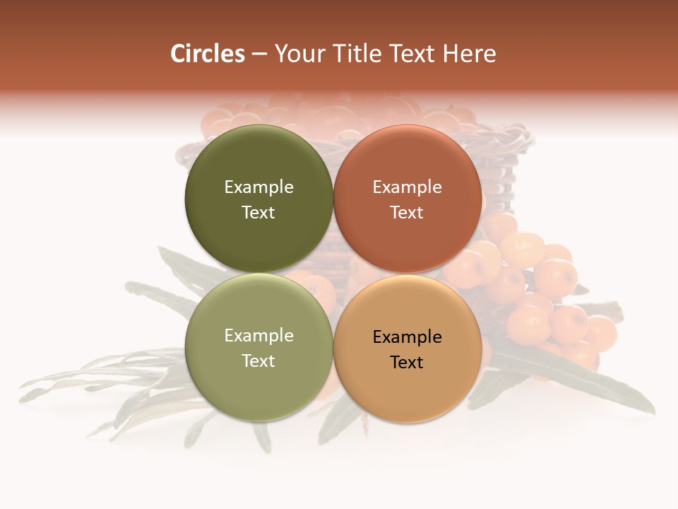 Healthy Thorn Diet PowerPoint Template