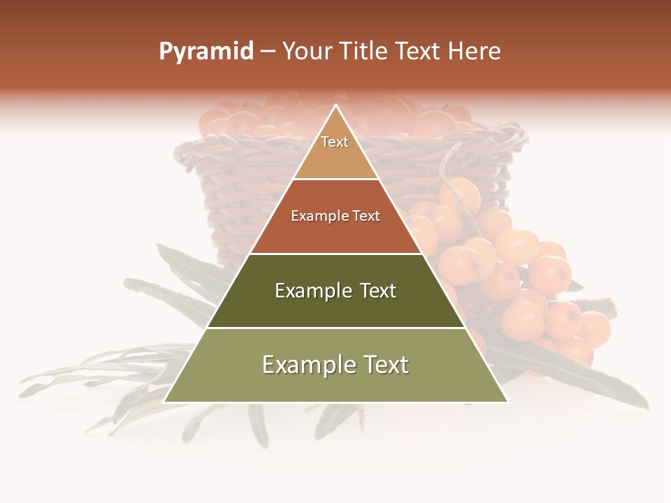 Healthy Thorn Diet PowerPoint Template