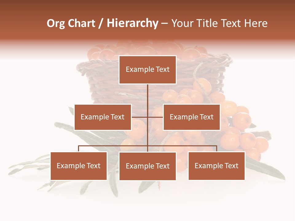 Healthy Thorn Diet PowerPoint Template