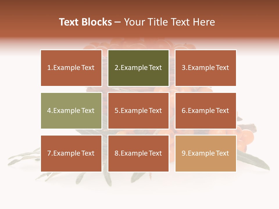 Healthy Thorn Diet PowerPoint Template