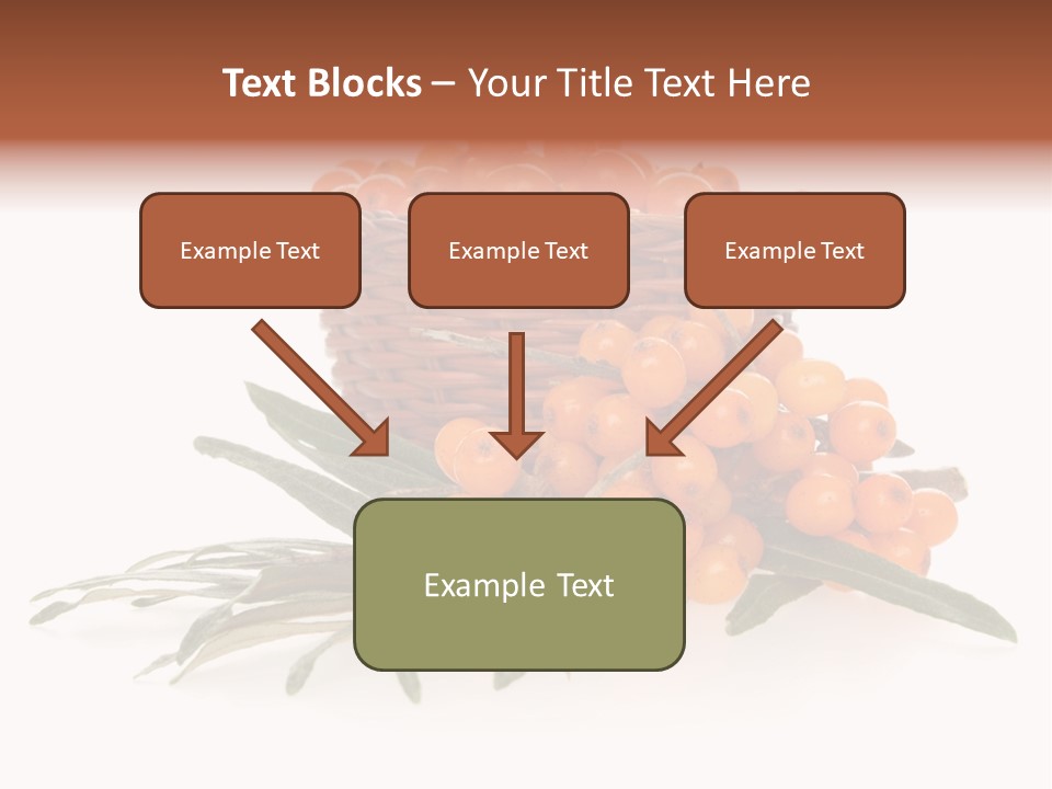 Healthy Thorn Diet PowerPoint Template