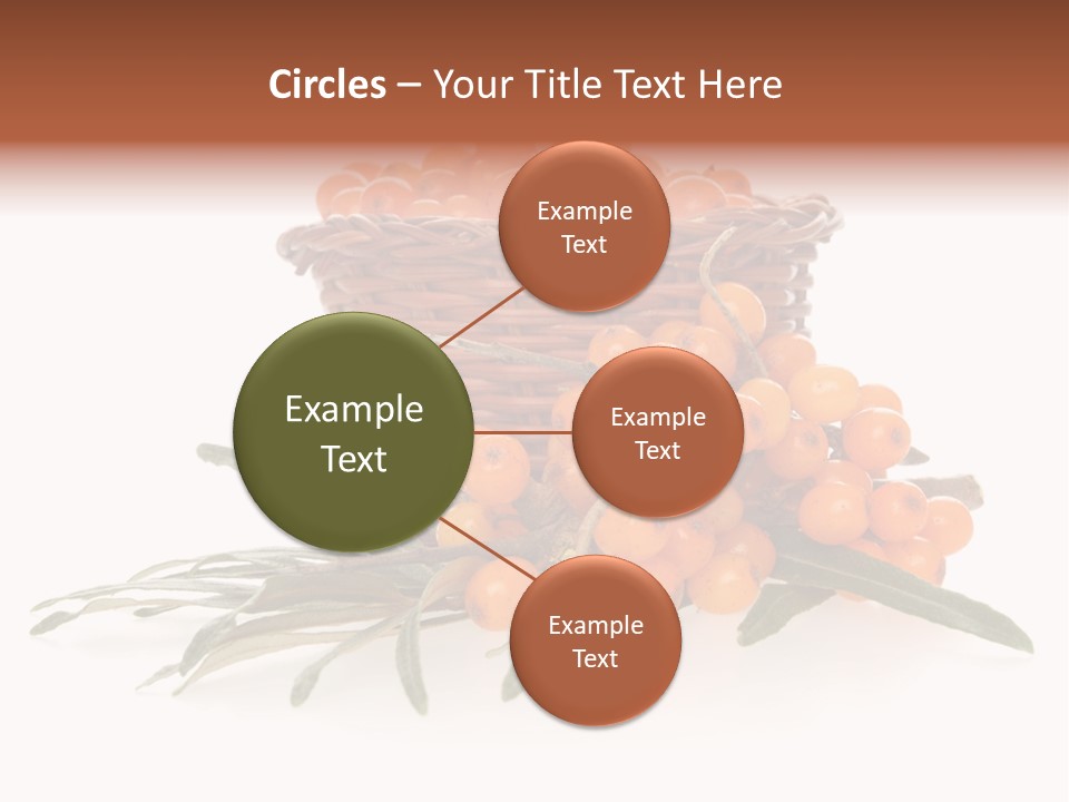 Healthy Thorn Diet PowerPoint Template