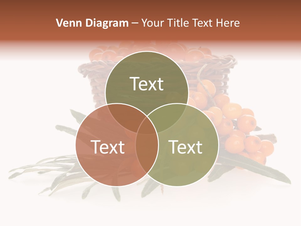 Healthy Thorn Diet PowerPoint Template