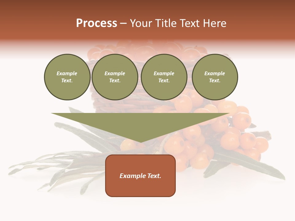 Healthy Thorn Diet PowerPoint Template