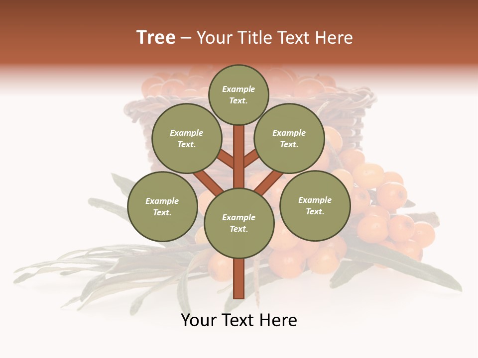 Healthy Thorn Diet PowerPoint Template