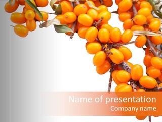 Orange Nature Season PowerPoint Template