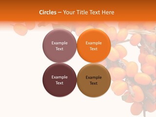 Orange Nature Season PowerPoint Template